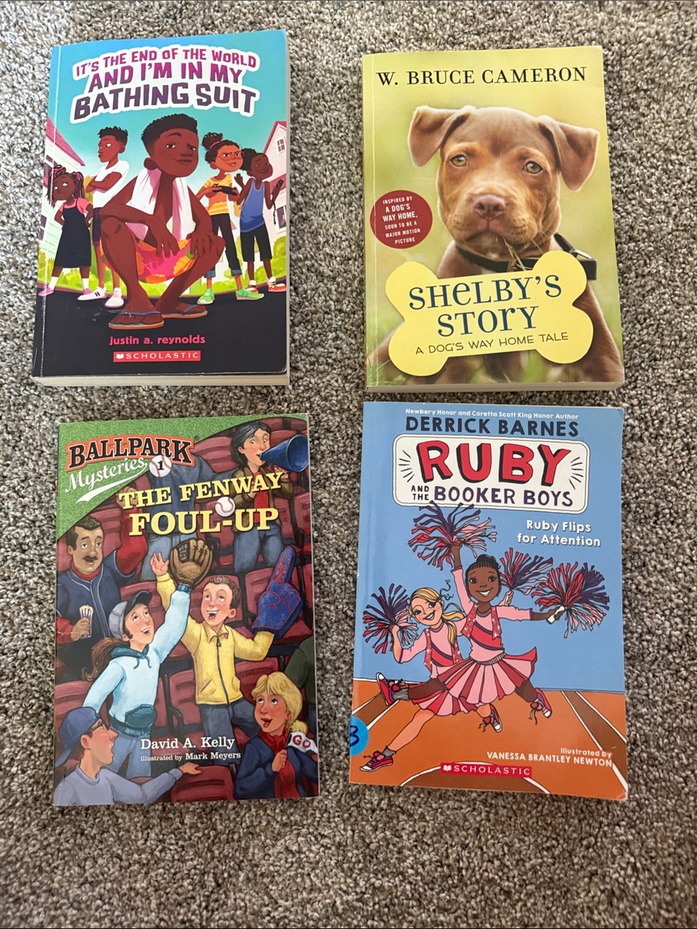 Set of 4 chapter books- great for students in grades 3-5!